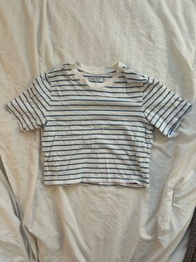 Striped Blue & White Cropped Tee